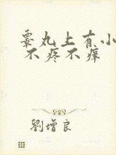 睾丸上有小疙瘩 不疼不痒