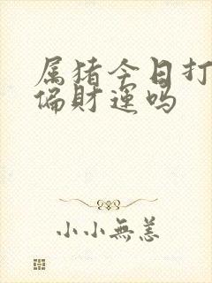 属猪今日打牌有偏财运吗