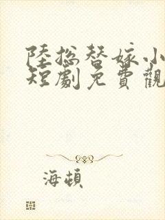 陆总替嫁小宠妻短剧免费观看全集