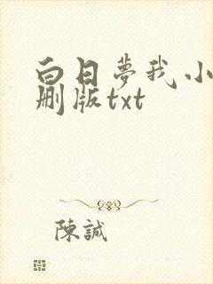 白日梦我小说未删版txt