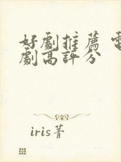 好剧推荐 电视剧高评分