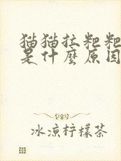 猫猫拉粑粑有血是什么原因