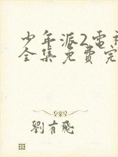 少年派2电视剧全集免费完整版