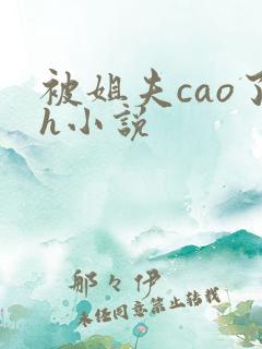 被姐夫cao了h小说