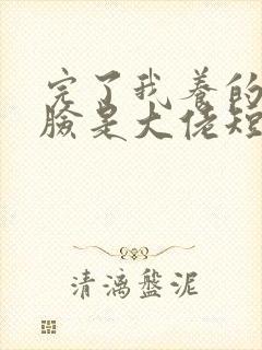 完了我养的小白脸是大佬短剧免费