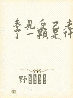 梦见自己老牙掉了一颗是什么预兆