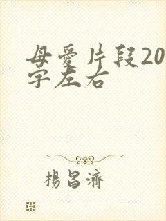 母爱片段200字左右