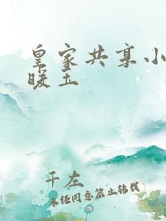 皇家共享小公主暖玉