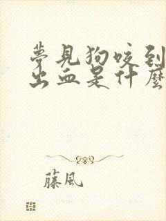 梦见狗咬到腿没出血是什么预兆