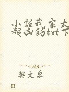 小说我家太子妃超凶的txt下载