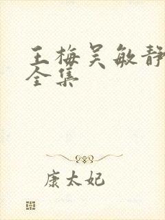 王梅吴敏静小说全集