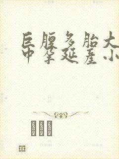 巨腹多胎大肚孕中孕延产小说