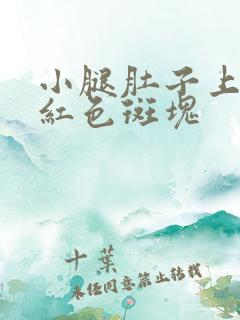 小腿肚子上有紫红色斑块