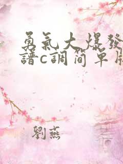 勇气大爆发吉他谱c调简单版