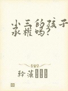 小三的孩子有继承权吗?