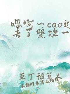 嗯啊～cao进去了双攻一受小说