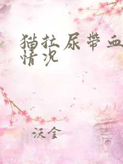 猫拉尿带血什么情况