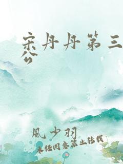 宋丹丹第三任老公