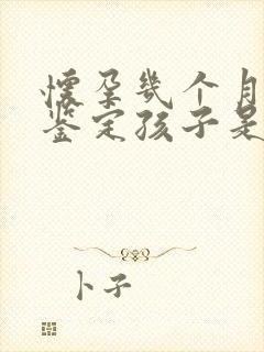 怀孕几个月才能鉴定孩子是谁的