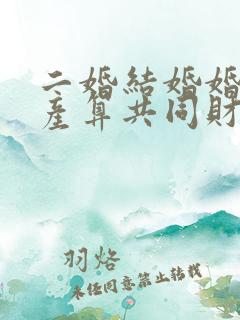 二婚结婚婚前财产算共同财产吗