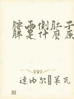 腰两侧肚子上肥胖是什么原因