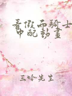 看假面骑士创骑 中配动画