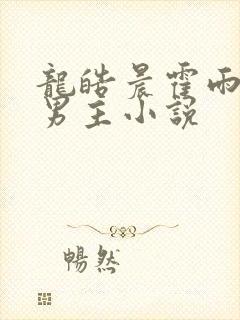 龙皓晨霍雨浩双男主小说