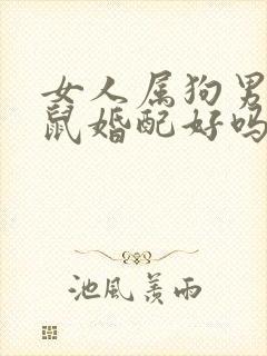 女人属狗男人属鼠婚配好吗