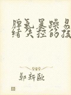 脾气暴躁易怒情绪失控的孩子