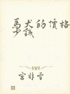 马犬的价格是多少钱