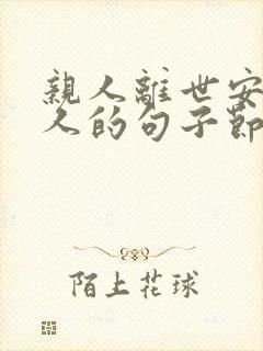 亲人离世安慰亲人的句子节哀短句