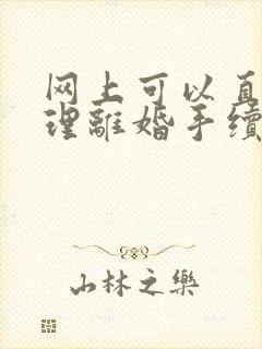 网上可以直接办理离婚手续吗