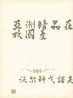 亚洲精品在线播放国产