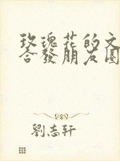 玫瑰花的文案适合发朋友圈