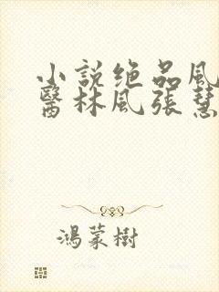 小说绝品风流狂医林风张慧作者