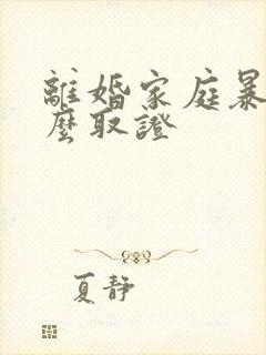 离婚家庭暴力怎么取证