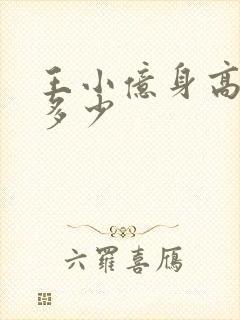 王小亿身高体重多少