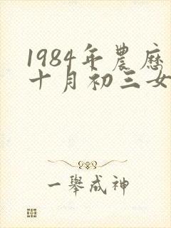 1984年农历十月初三女鼠命运