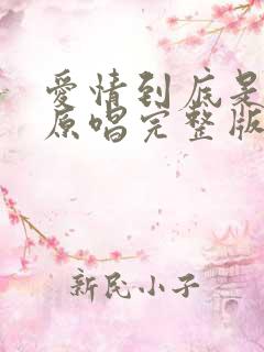 爱情到底是什么原唱完整版