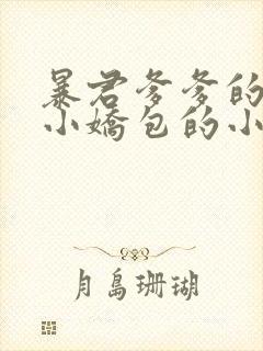 暴君爹爹的团宠小娇包的小说