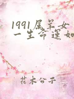 1991属羊女一生命运如何