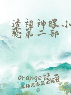 透视神眼小说林飞第二部