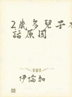 2岁多儿子不说话原因