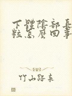 下体阴部长小肉粒怎么回事