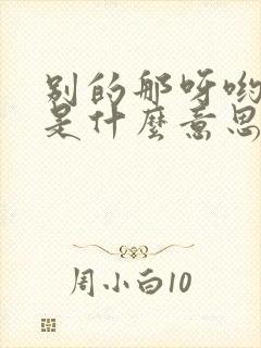 别的那呀哟歌词是什么意思