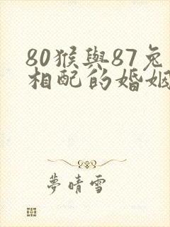 80猴与87兔相配的婚姻如何