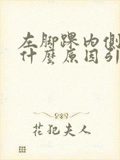 左脚踝内侧疼是什么原因引起的