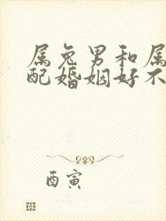 属兔男和属牛女配婚姻好不好