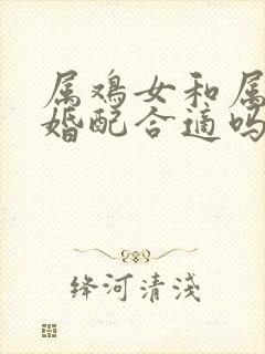 属鸡女和属狗男婚配合适吗