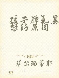 孩子脾气暴躁易怒的原因